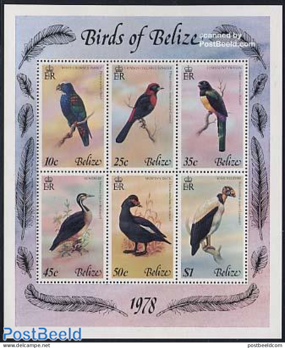 Belize/British Honduras 1978 Birds S/s, Mint NH, Nature - Birds - Birds Of Prey - Ducks - Parrots - Honduras Británica (...-1970)