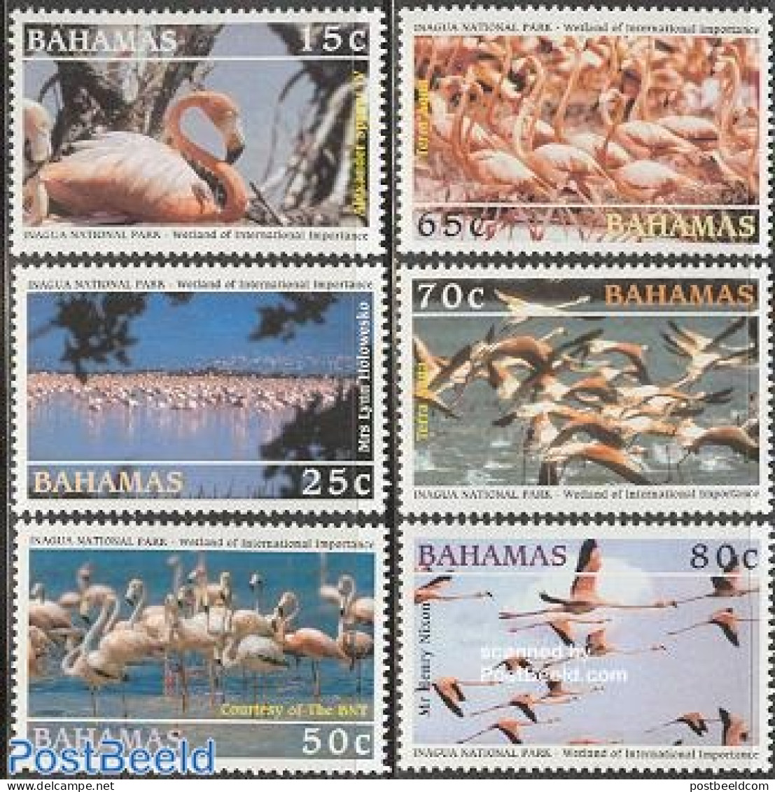 Bahamas 2003 Flamingos 6v, Mint NH, Nature - Birds - Otros & Sin Clasificación