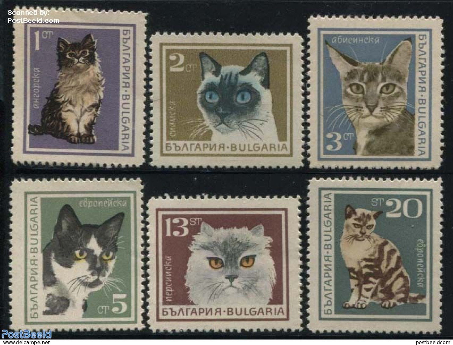 Bulgaria 1967 Cats 6v, Mint NH, Nature - Cats - Ungebraucht