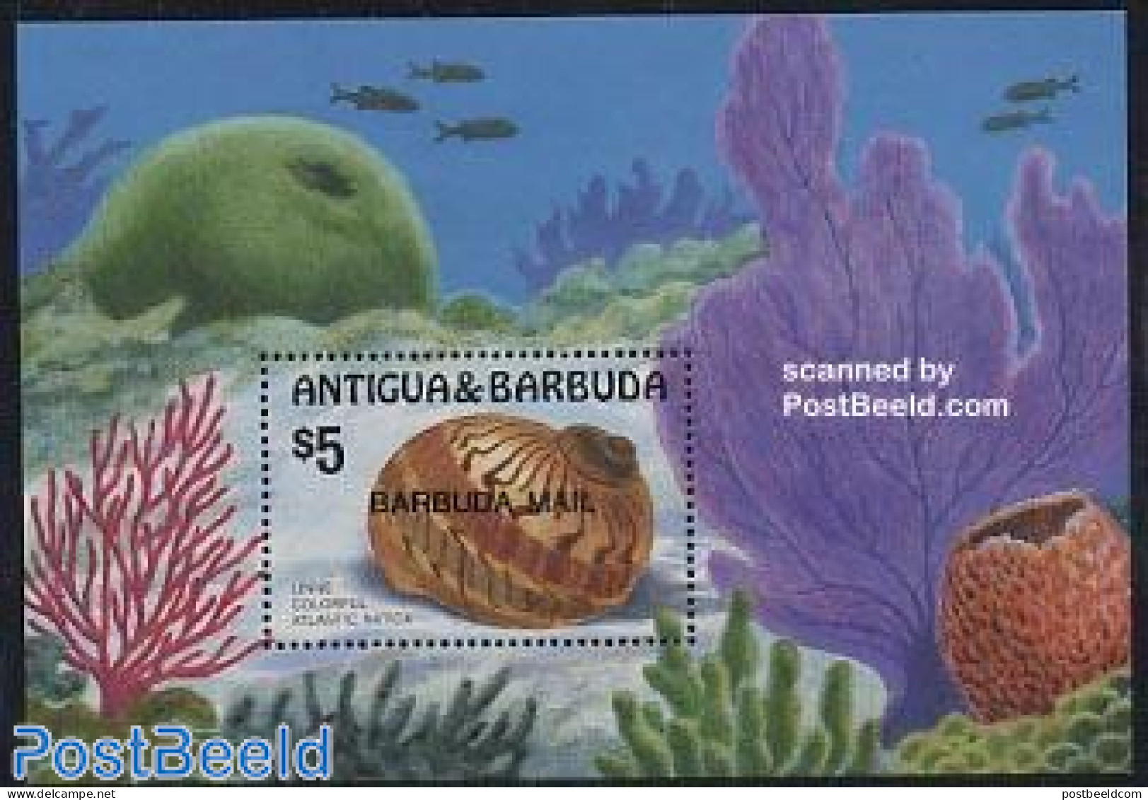 Barbuda 1986 Shells S/s, Mint NH, Nature - Shells & Crustaceans - Vita Acquatica