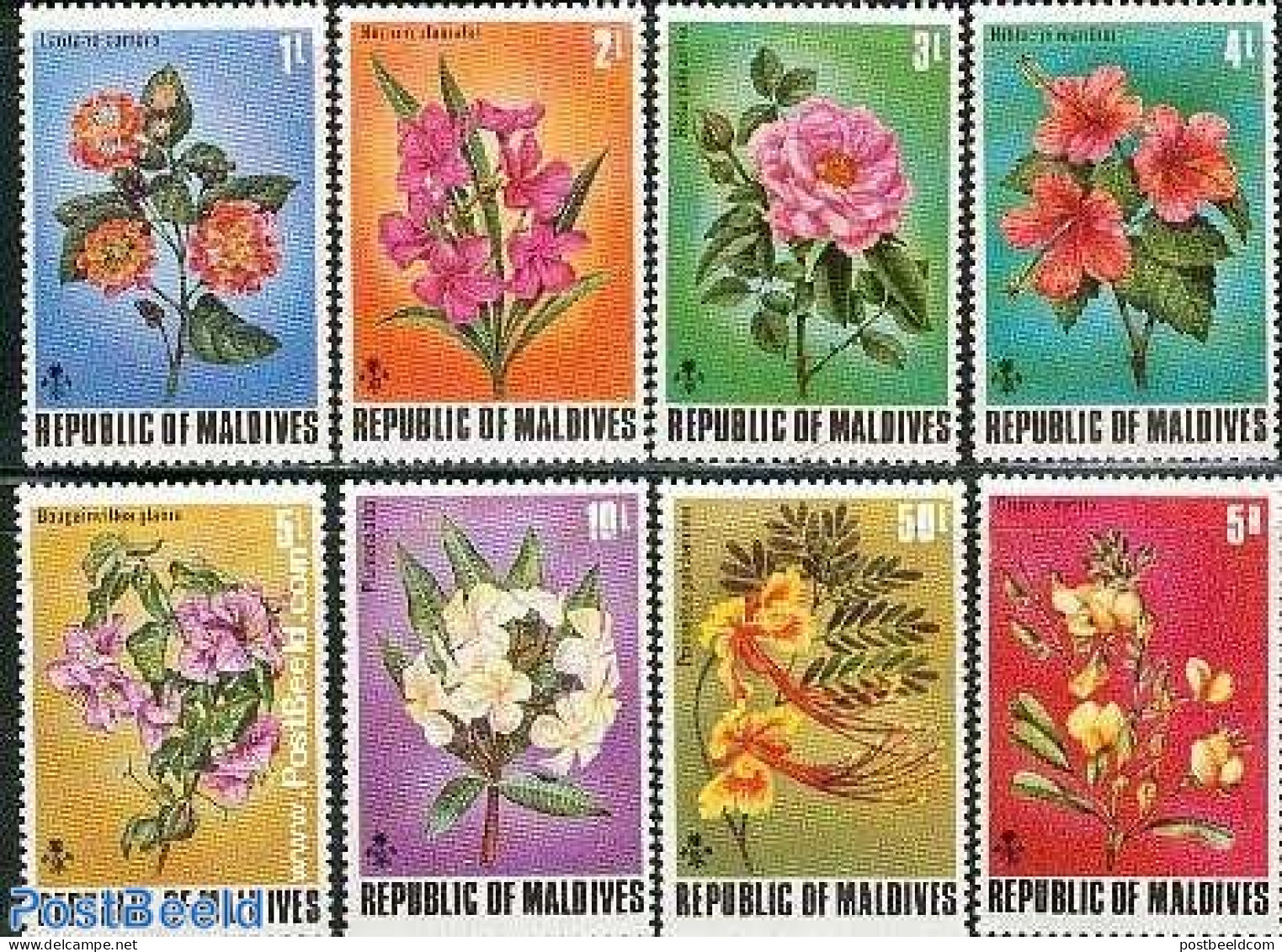 Maldives 1973 Flowers 8v, Mint NH, Nature - Flowers & Plants - Maldives (1965-...)