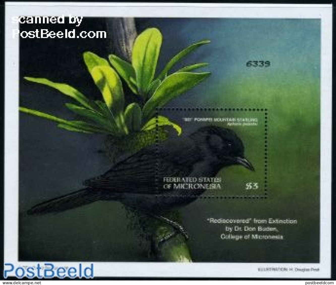 Micronesia 1998 Birds S/s, Aplonis Pelzelni, Mint NH, Nature - Birds - Micronésie