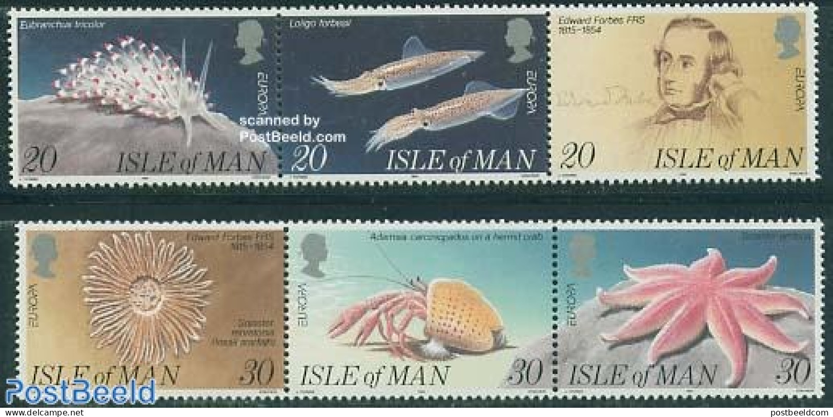 Isle Of Man 1994 Marine Life 2x3v [::], Mint NH, History - Nature - Europa (cept) - Fish - Shells & Crustaceans - Crab.. - Poissons