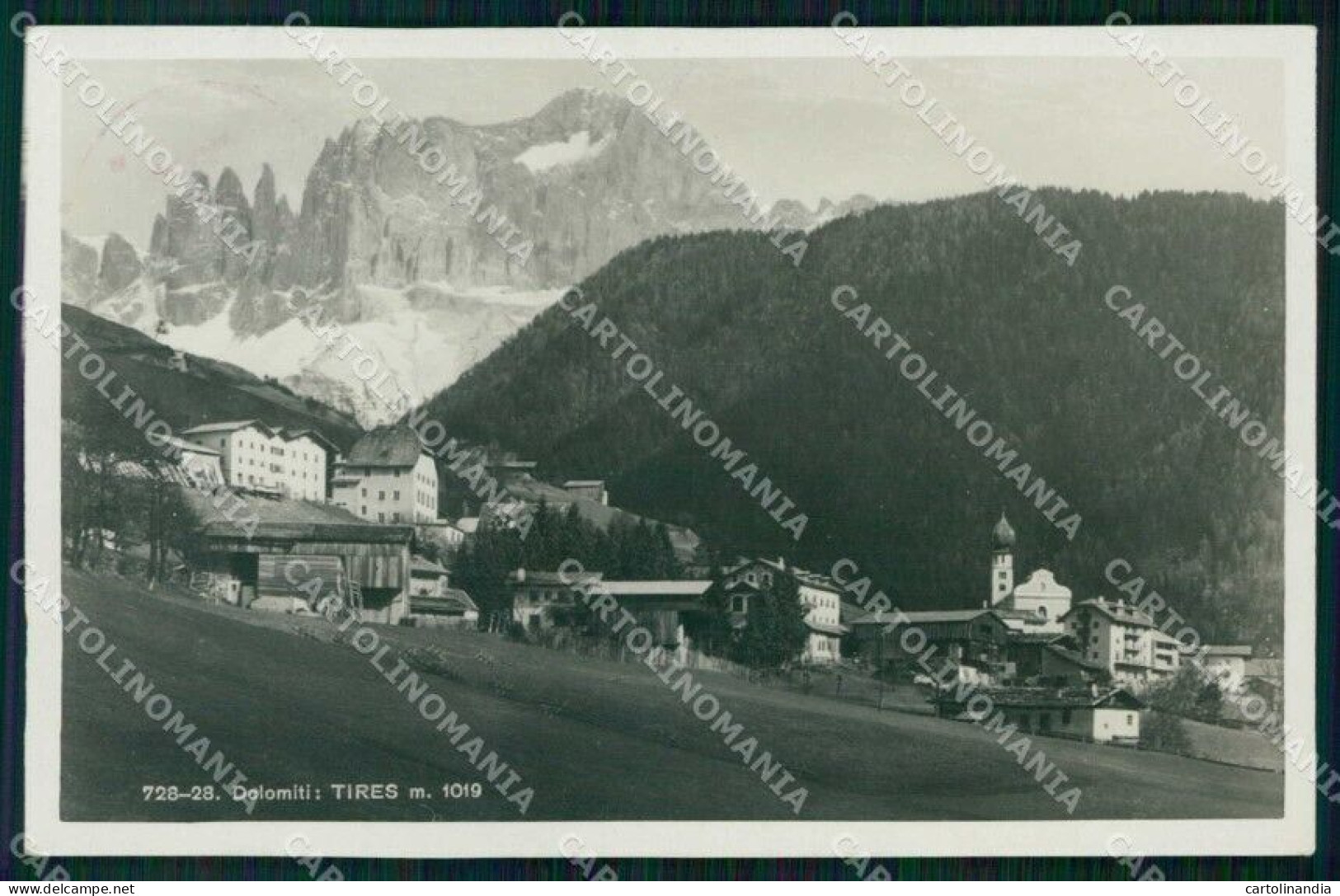 Bolzano Tires Dolomiti Franzl 728 28 Foto Cartolina RT4307 - Bolzano (Bozen)