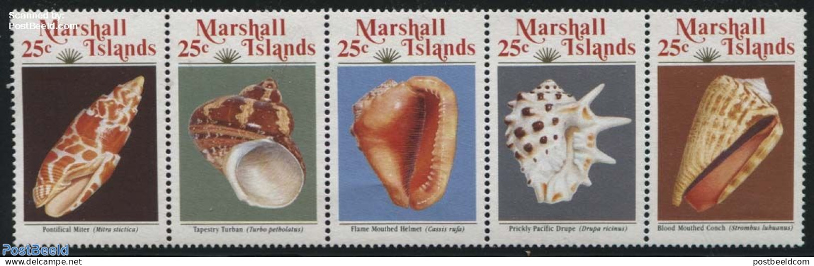 Marshall Islands 1989 Shells 5v [::::], Mint NH, Nature - Shells & Crustaceans - Mundo Aquatico