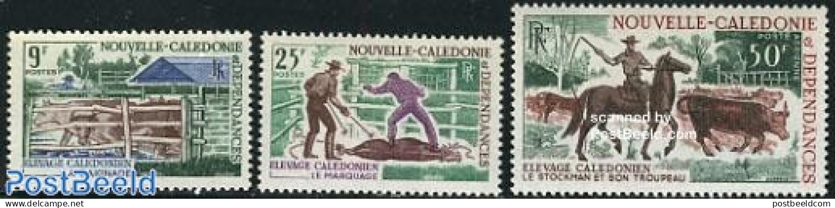 New Caledonia 1969 Cattle 3v, Mint NH, Nature - Cattle - Horses - Ungebraucht
