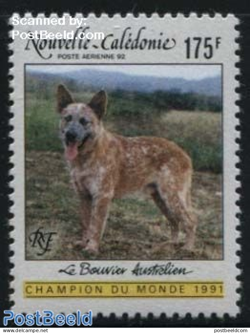 New Caledonia 1992 Australian Dog 1v, Mint NH, Nature - Dogs - Unused Stamps