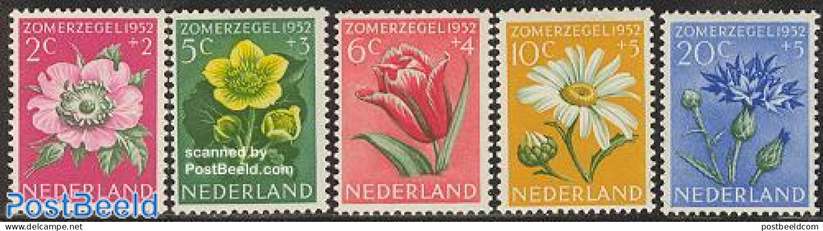 Netherlands 1952 Summer, Flowers 5v, Mint NH, Nature - Flowers & Plants - Neufs