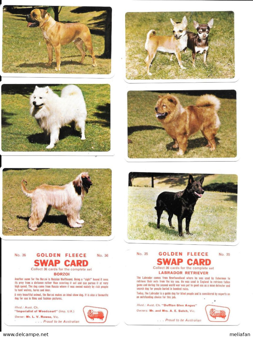 CG30 -  SERIE COMPLETE 36 CARTES GOLDEN FLEECE - DOGS - CHIENS - Other & Unclassified