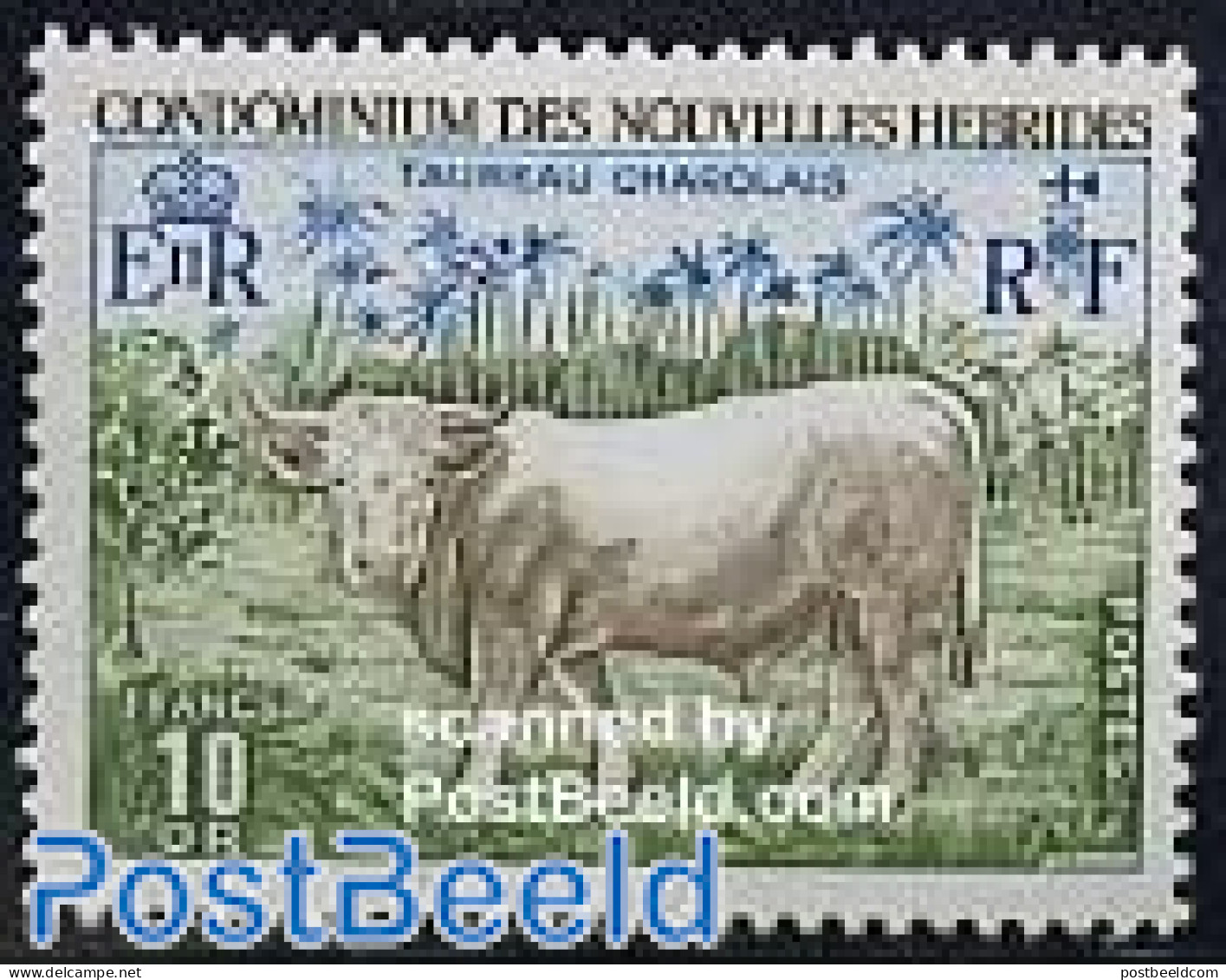 New Hebrides 1975 Definitive 1v F, Mint NH, Nature - Animals (others & Mixed) - Cattle - Neufs
