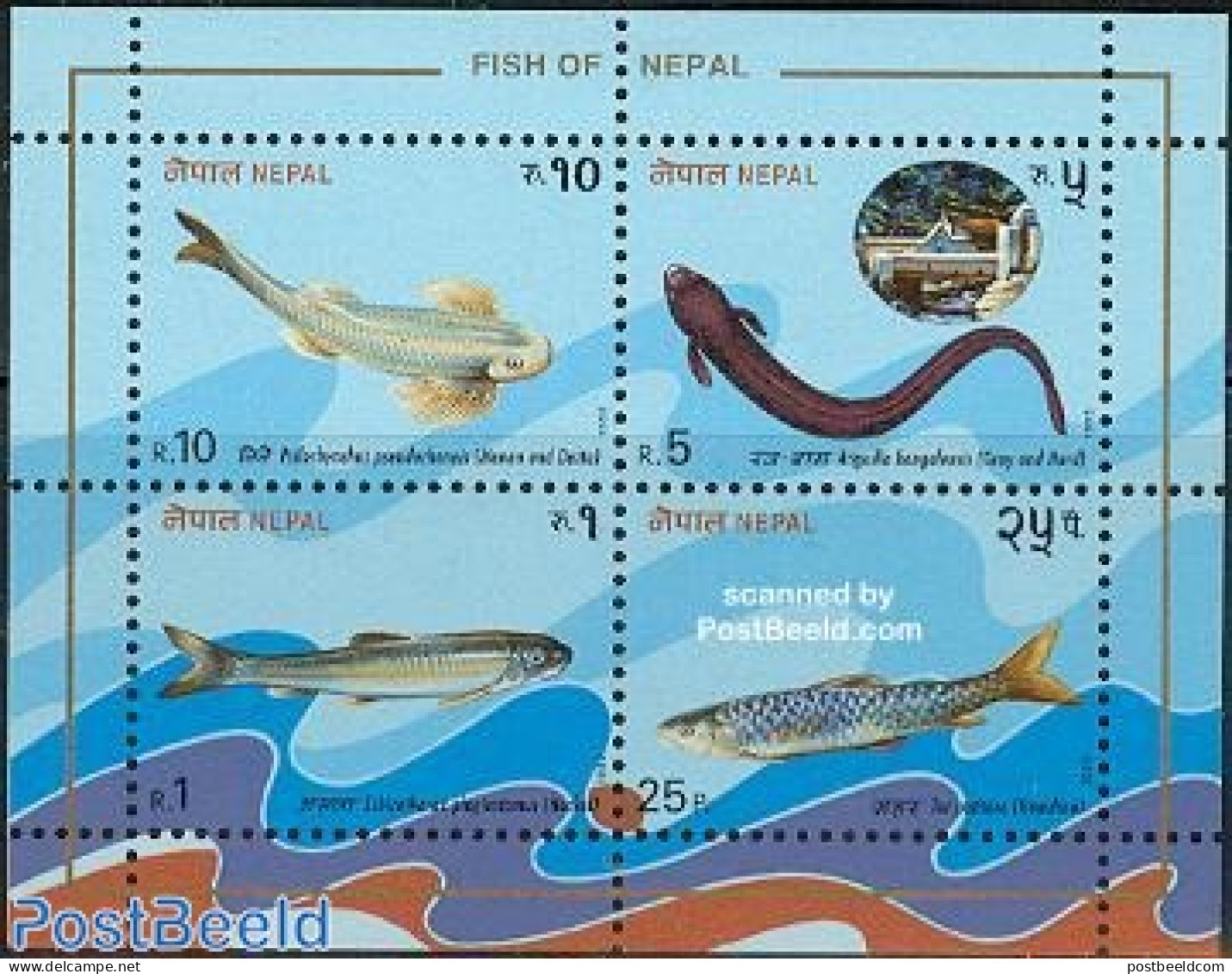 Nepal 1993 Fish S/s, Mint NH, Nature - Fish - Fische