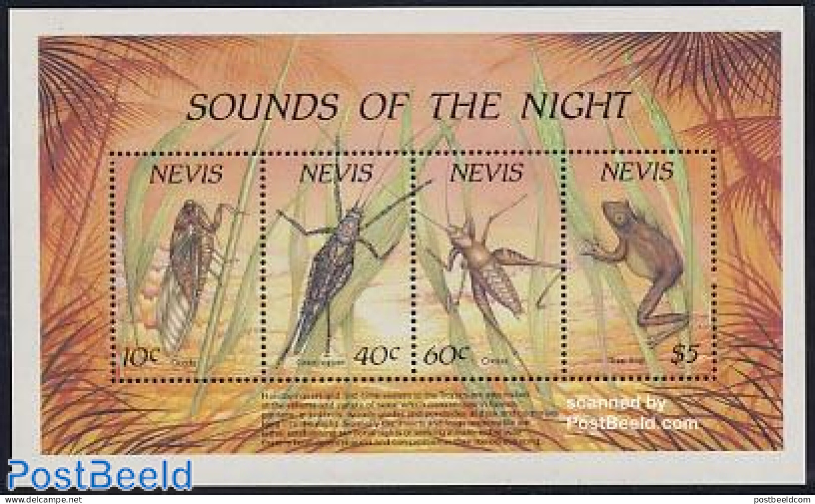 Nevis 1989 Night Animals S/s, Mint NH, Nature - Frogs & Toads - Insects - Reptiles - St.Kitts Y Nevis ( 1983-...)