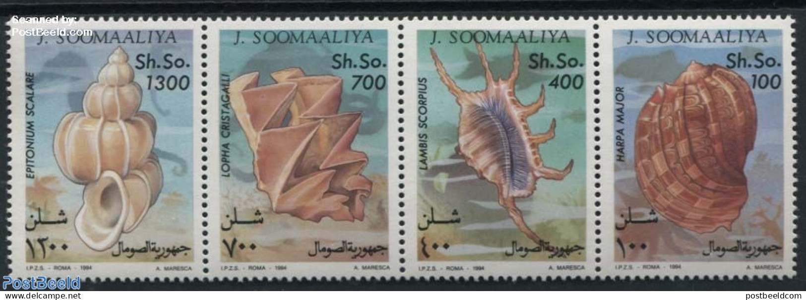 Somalia 1994 Shells 4v, Mint NH, Nature - Shells & Crustaceans - Vita Acquatica
