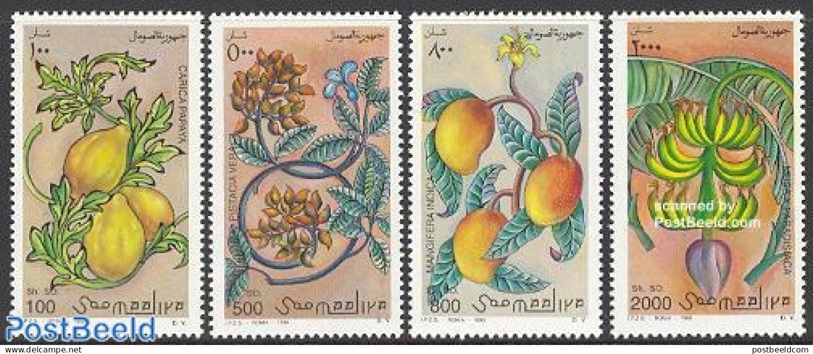 Somalia 1996 Fruits 4v, Mint NH, Nature - Fruit - Fruits