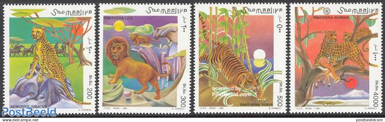 Somalia 1998 Big Cats 4v, Mint NH, Nature - Cat Family - Somalia (1960-...)