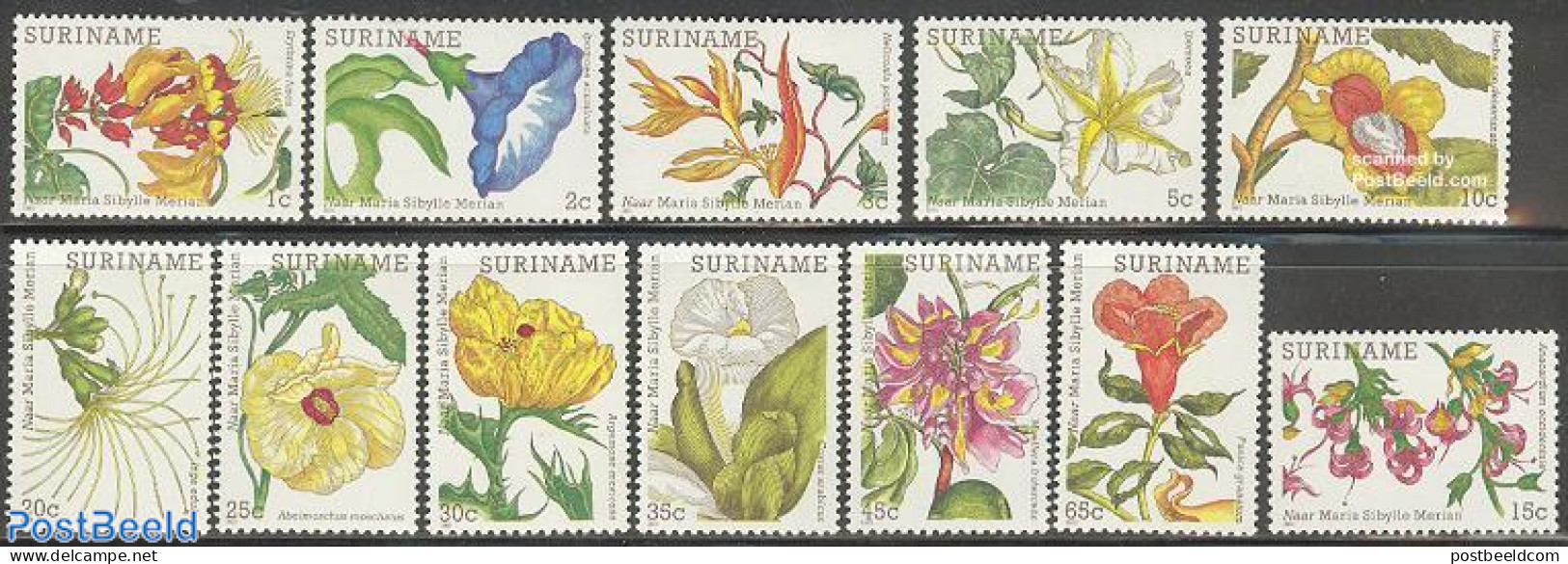 Suriname, Republic 1983 Flowers Painted By Maria Sibylle Merian 12v, Mint NH, Nature - Flowers & Plants - Art - Painti.. - Suriname
