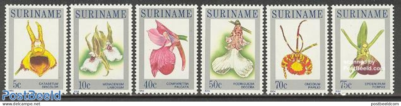 Suriname, Republic 1984 Orchids 6v, Mint NH, Nature - Flowers & Plants - Orchids - Suriname