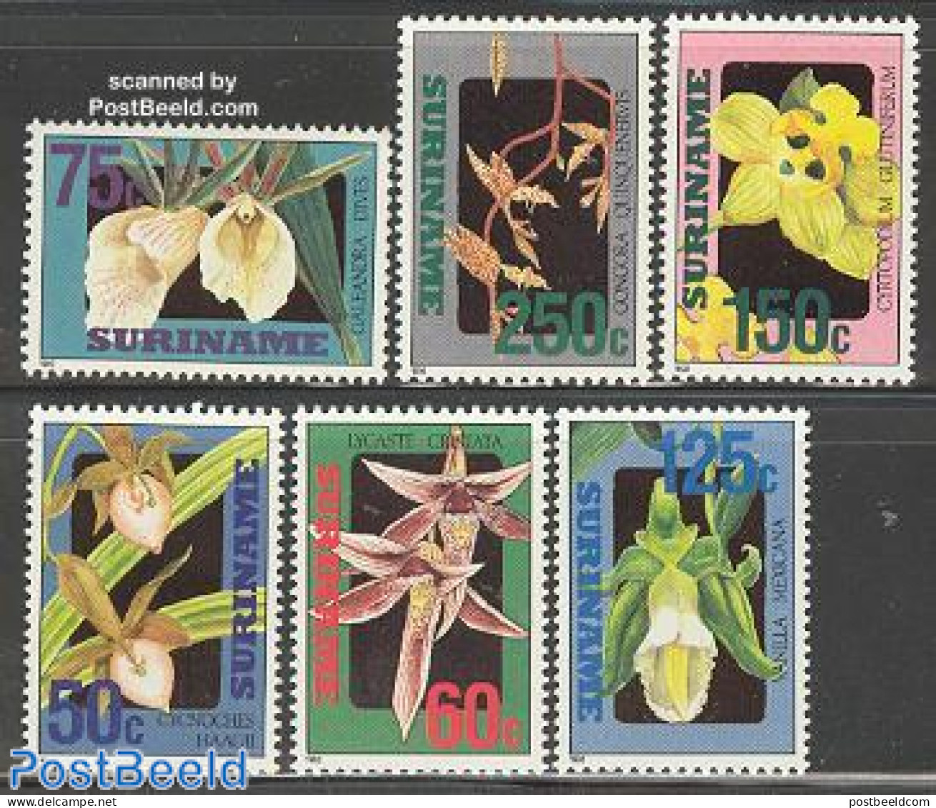 Suriname, Republic 1992 Orchids 6v, Mint NH, Nature - Flowers & Plants - Orchids - Suriname