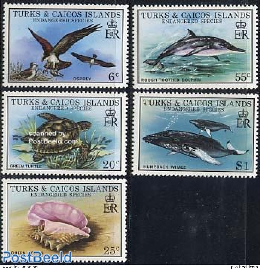 Turks And Caicos Islands 1979 Nature Conservation 5v, Mint NH, Nature - Birds - Reptiles - Sea Mammals - Shells & Crus.. - Mundo Aquatico
