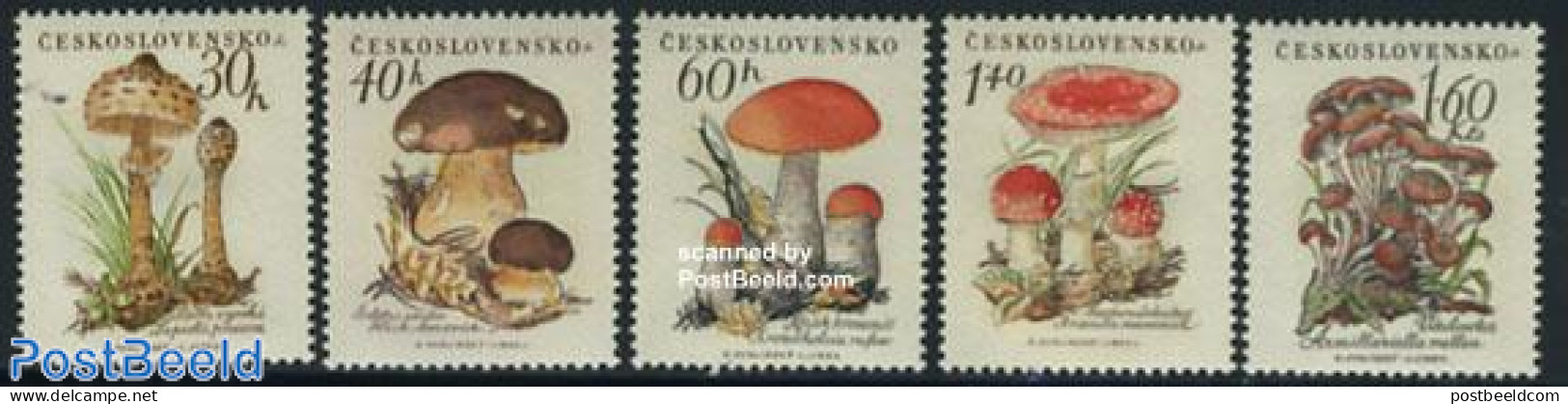 Czechoslovkia 1958 Mushrooms 5v, Mint NH, Nature - Mushrooms - Other & Unclassified