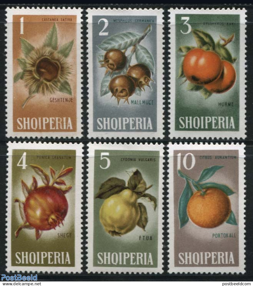 Albania 1965 Fruits 6v, Mint NH, Nature - Fruit - Frutas