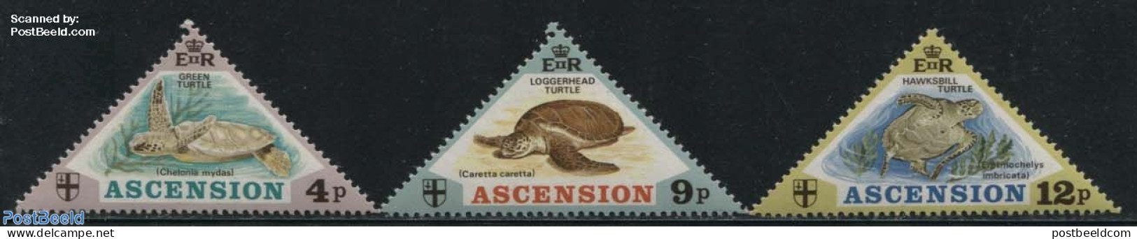 Ascension 1973 Sea Turtles 3v, Mint NH, Nature - Reptiles - Turtles - Ascension (Ile De L')