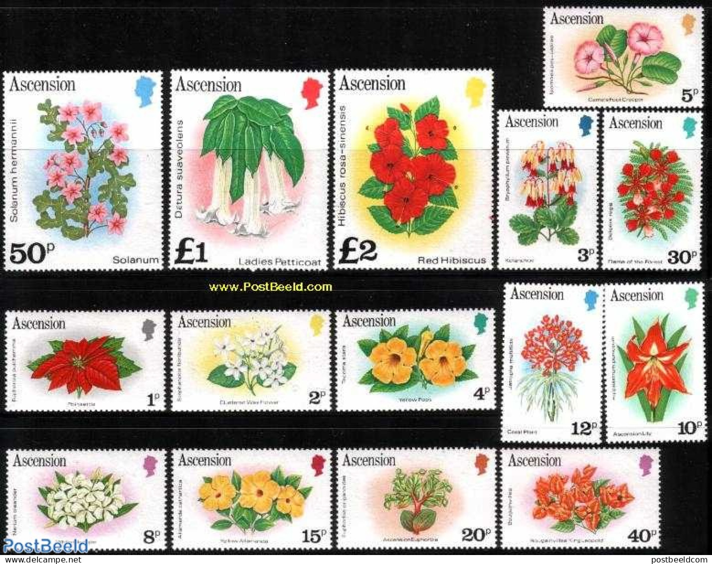 Ascension 1981 Definitives, Flowers 15v (without Year), Mint NH, Nature - Flowers & Plants - Ascension