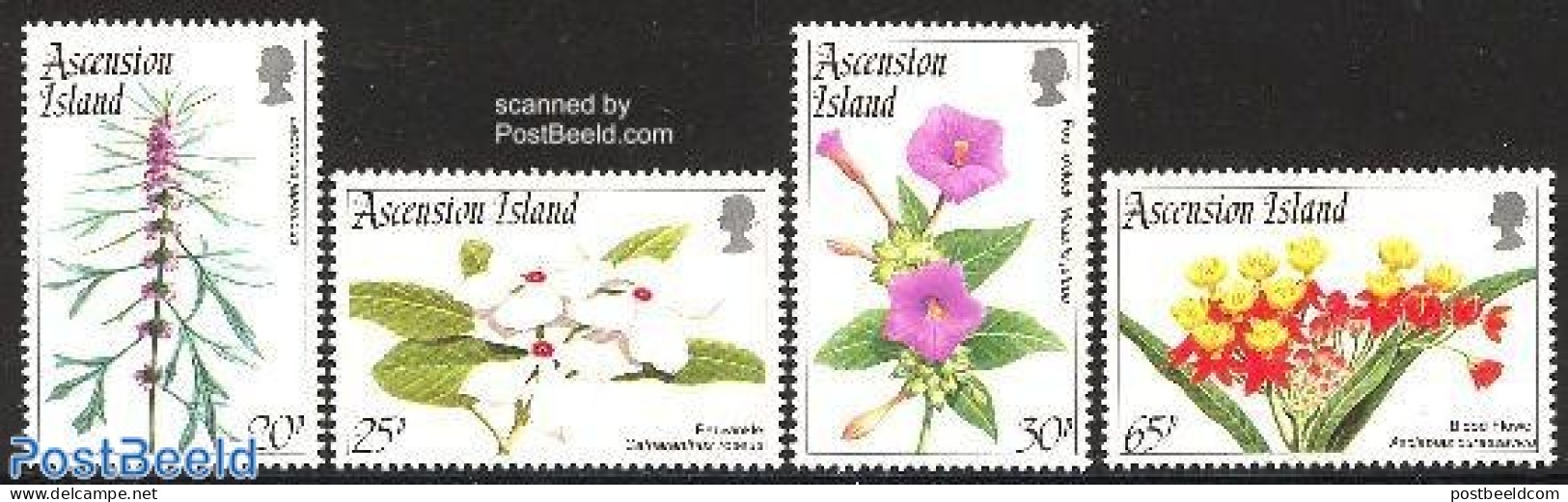 Ascension 1995 Flowers 4v, Mint NH, Nature - Flowers & Plants - Ascensione