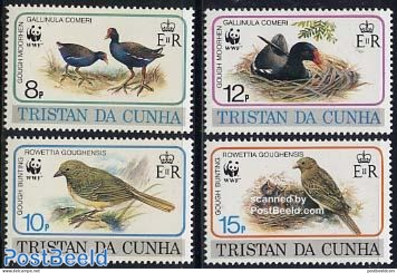 Tristan Da Cunha 1991 WWF, Birds 4v, Mint NH, Nature - Birds - World Wildlife Fund (WWF) - Tristan Da Cunha