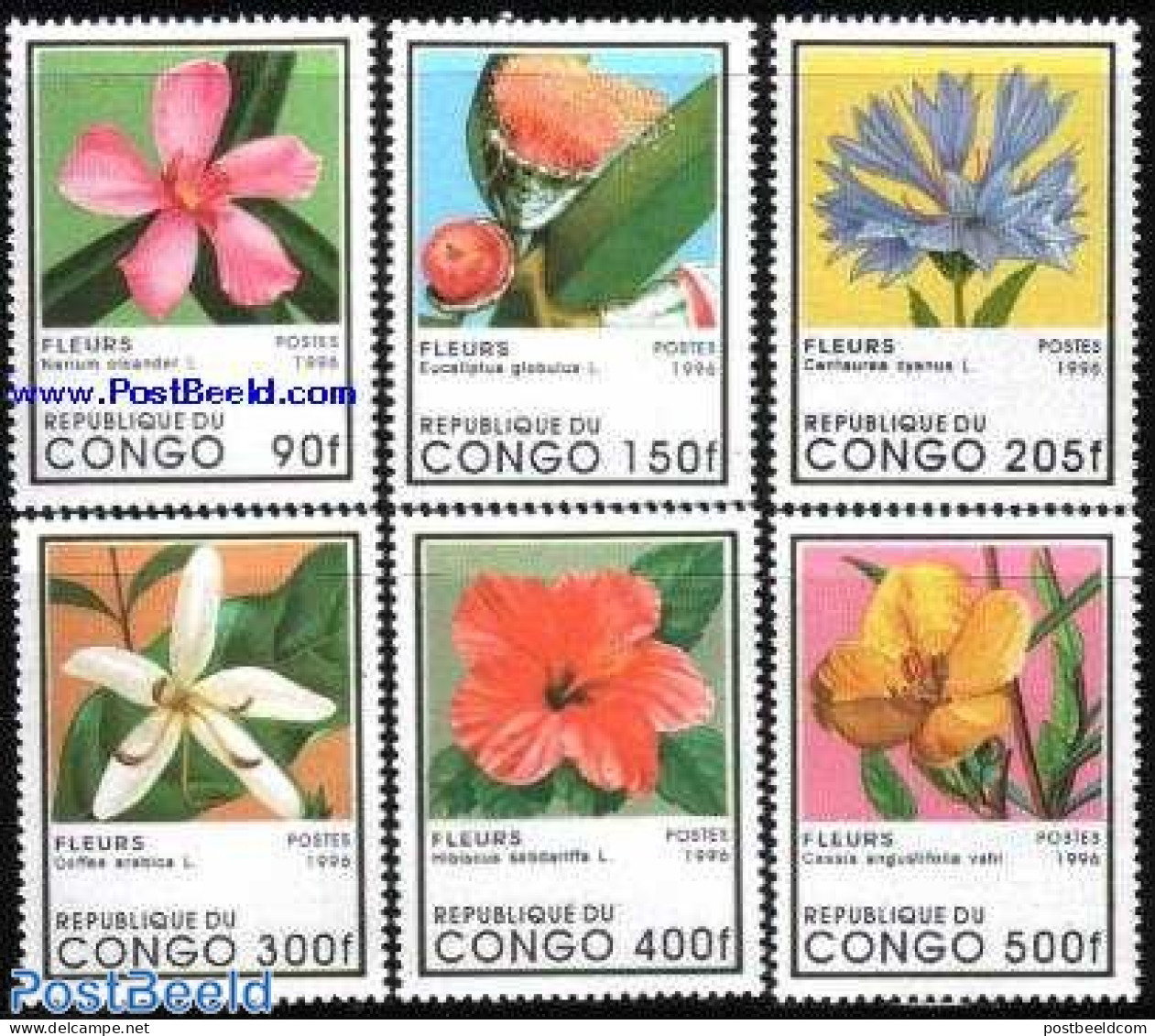 Congo Republic 1996 Flowers 6v, Mint NH, Nature - Flowers & Plants - Other & Unclassified