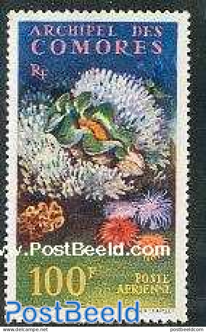Comoros 1962 Marine Life 1v, Mint NH, Nature - Corals - Isole Comore (1975-...)