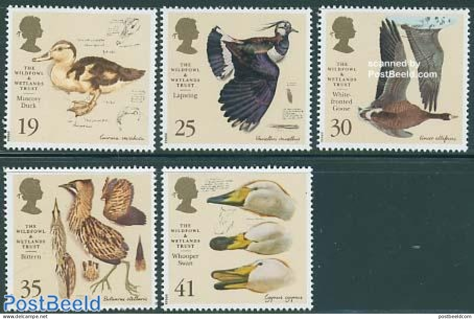 Great Britain 1996 Waterbirds 5v, Mint NH, Nature - Birds - Ducks - Sonstige & Ohne Zuordnung