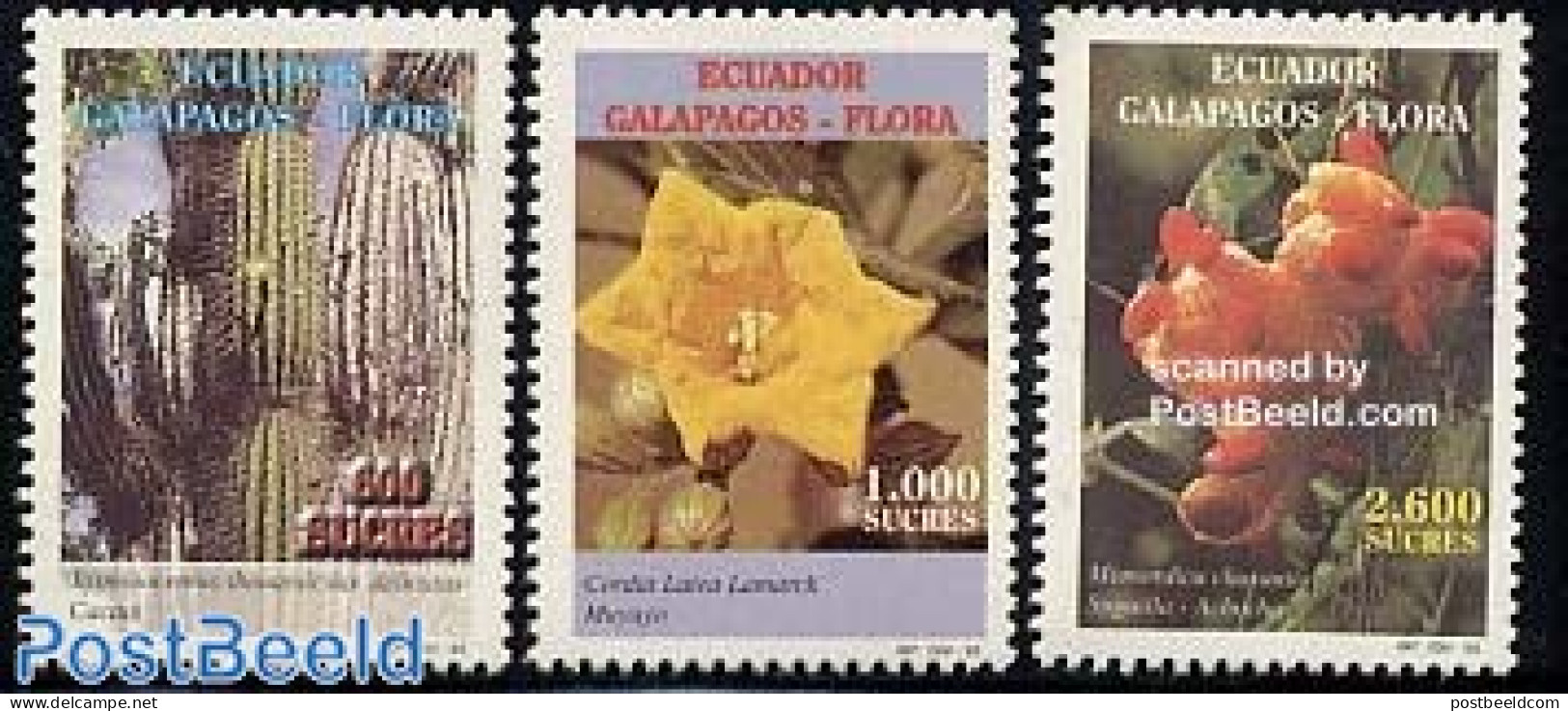 Ecuador 1998 Flowers 3v, Mint NH, Nature - Cacti - Flowers & Plants - Cactus