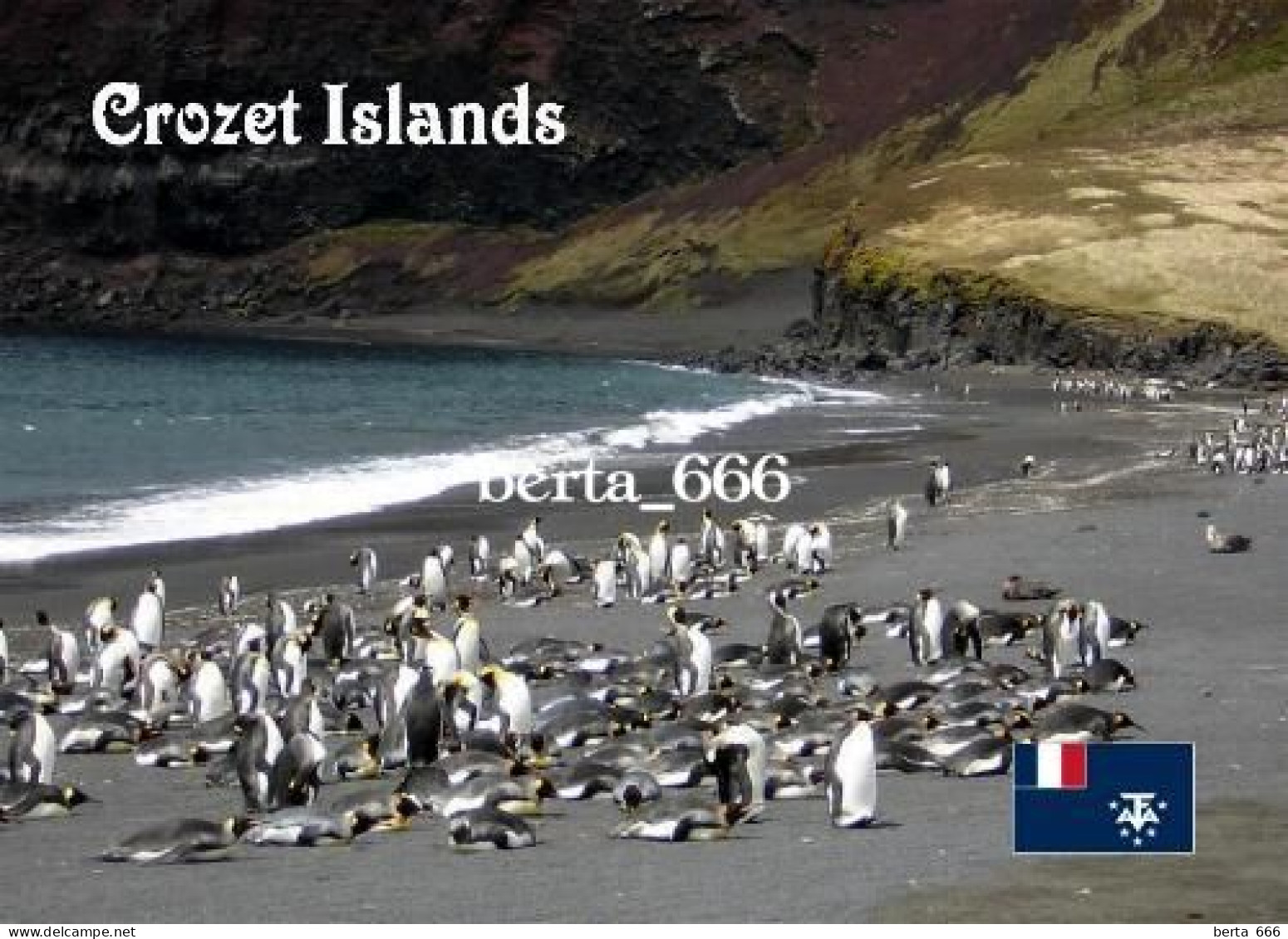 TAAF Crozet Islands Penguins UNESCO New Postcard - TAAF : Franz. Süd- Und Antarktisgebiete