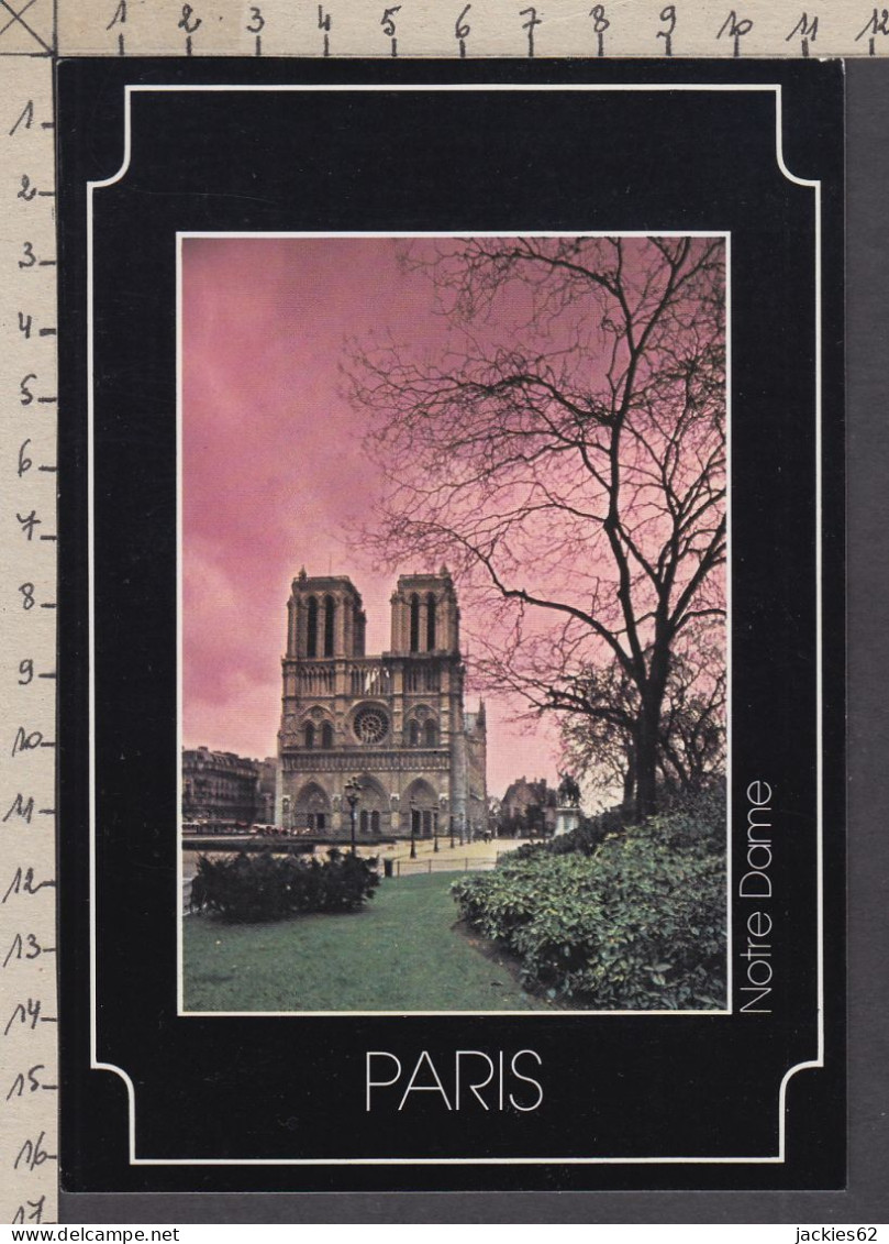 117359GF/ W. LECHTHALER, *Paris, Notre-Dame*, Ed. Michel+Co  - Other & Unclassified