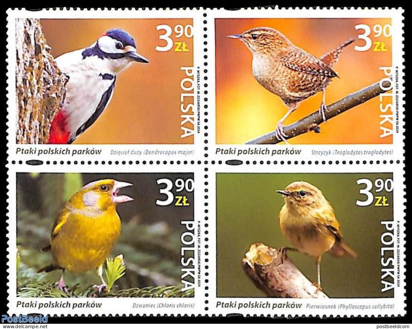 Poland 2024 Birds 4v [+], Mint NH, Nature - Birds - Ungebraucht