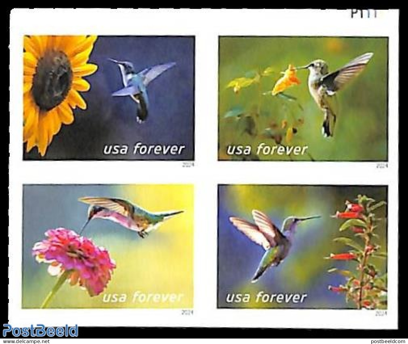 United States Of America 2024 Garden Delights 2x4v, Double Sided, Mint NH, Nature - Birds - Flowers & Plants - Humming.. - Nuovi