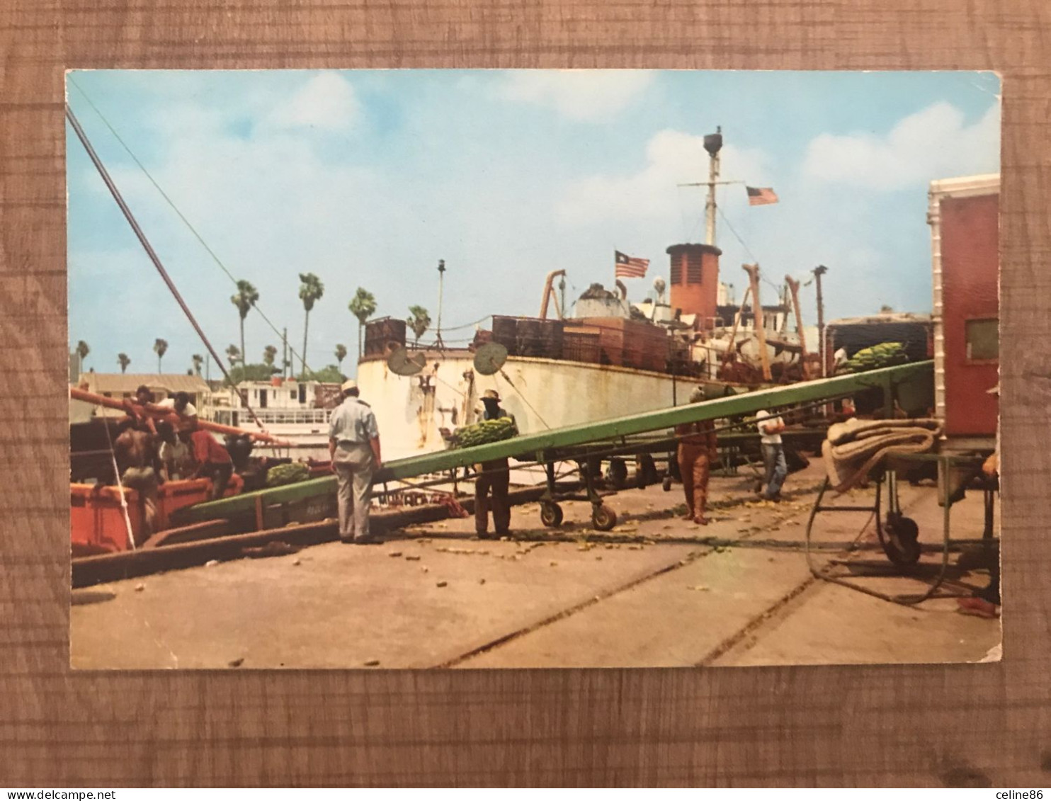 UNLOADING BANANAS A FAMILIAR SIGHT ALMOST EVERY DAY AT THE DOCKS IN TAMPA FLORIDA - Negro Americana