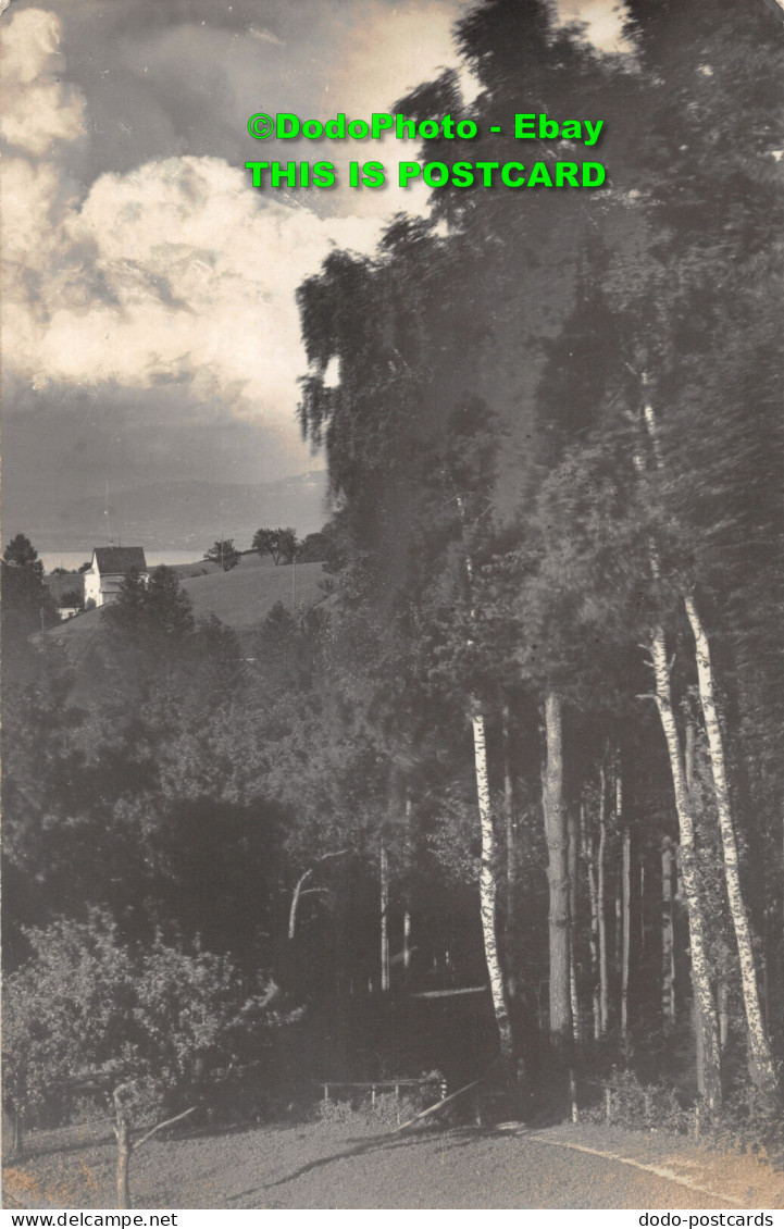 R406572 Landscape. Old Photography. Postcard. 1910 - World