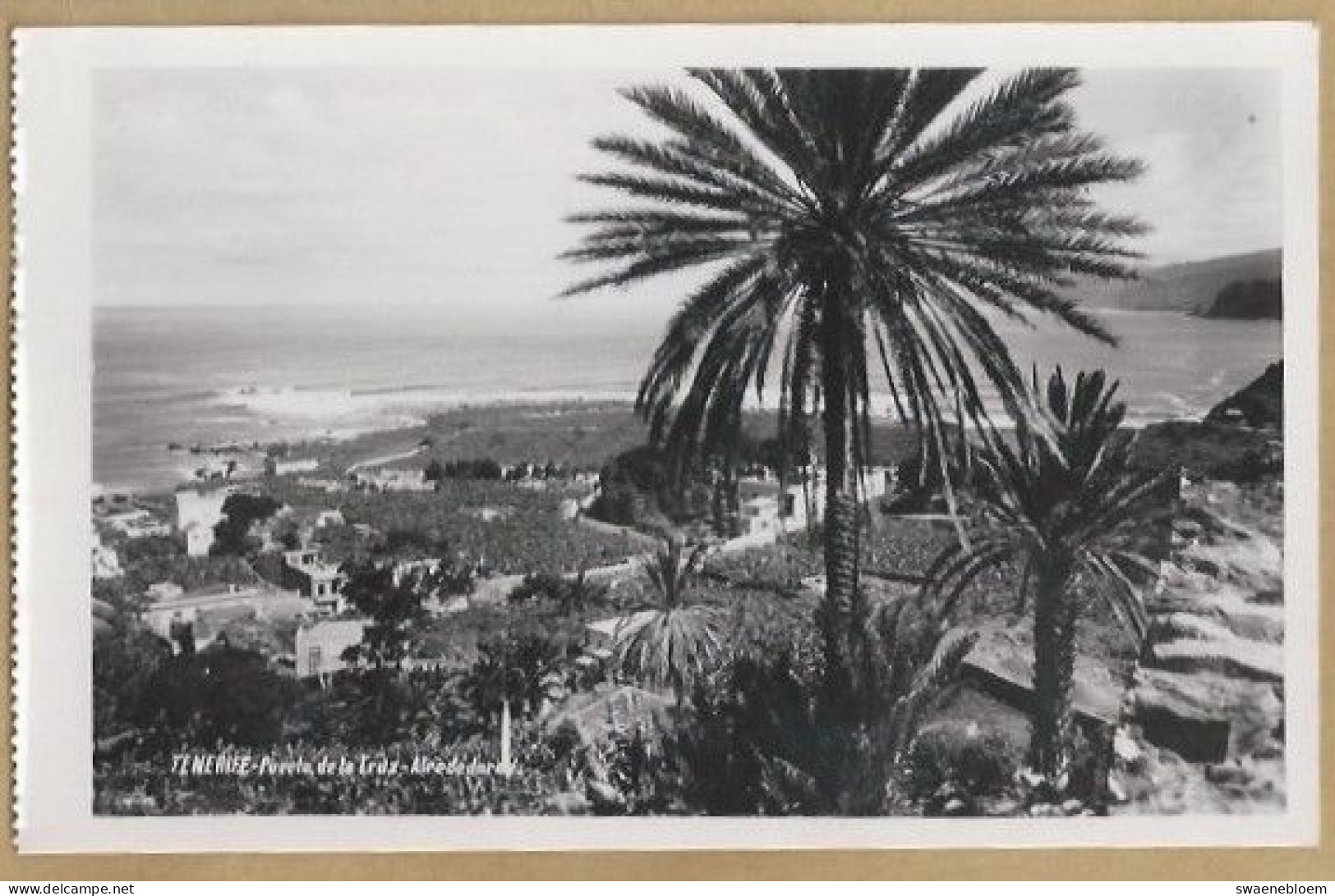 ES.- SPANJE. TENERIFE. PUERTO DE LA CRUZ - ALREDEDORES. Foto BAENA. - Tenerife