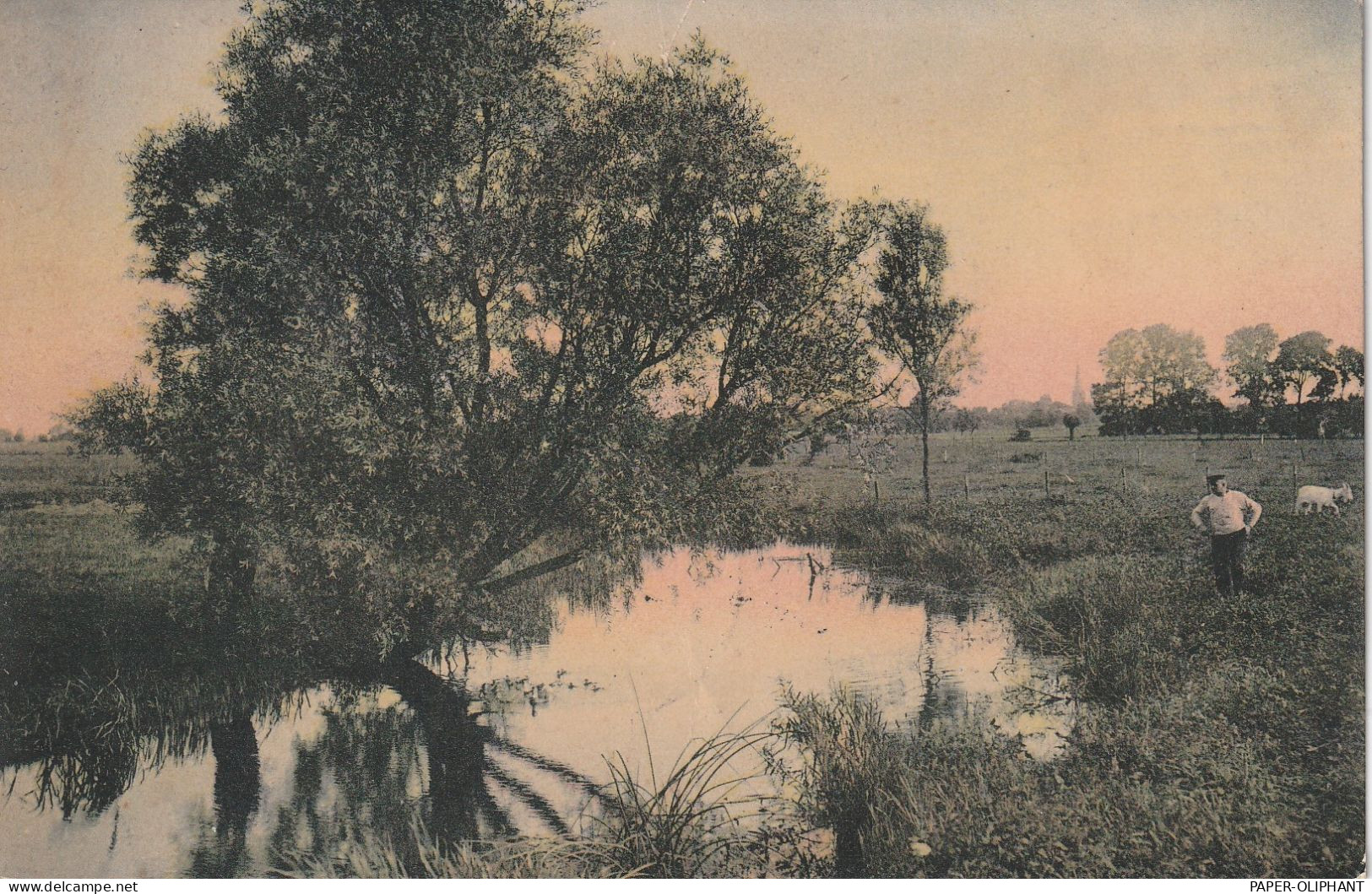LANDWIRTSCHAFT - ZIEGEN, "Im Moor",1905 - Breeding