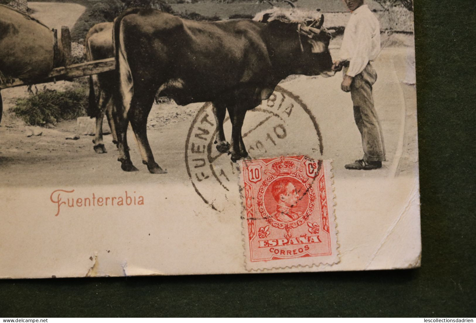 Carte Postale Espagne - Char à Boeufs -  Fuenterrabia - Attelages