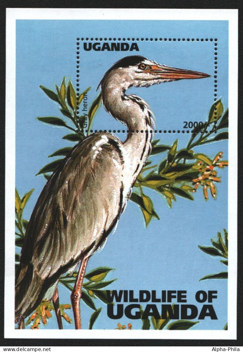 Uganda 1996 - Mi-Nr. Block 250 ** - MNH - Vögel / Birds - Oeganda (1962-...)