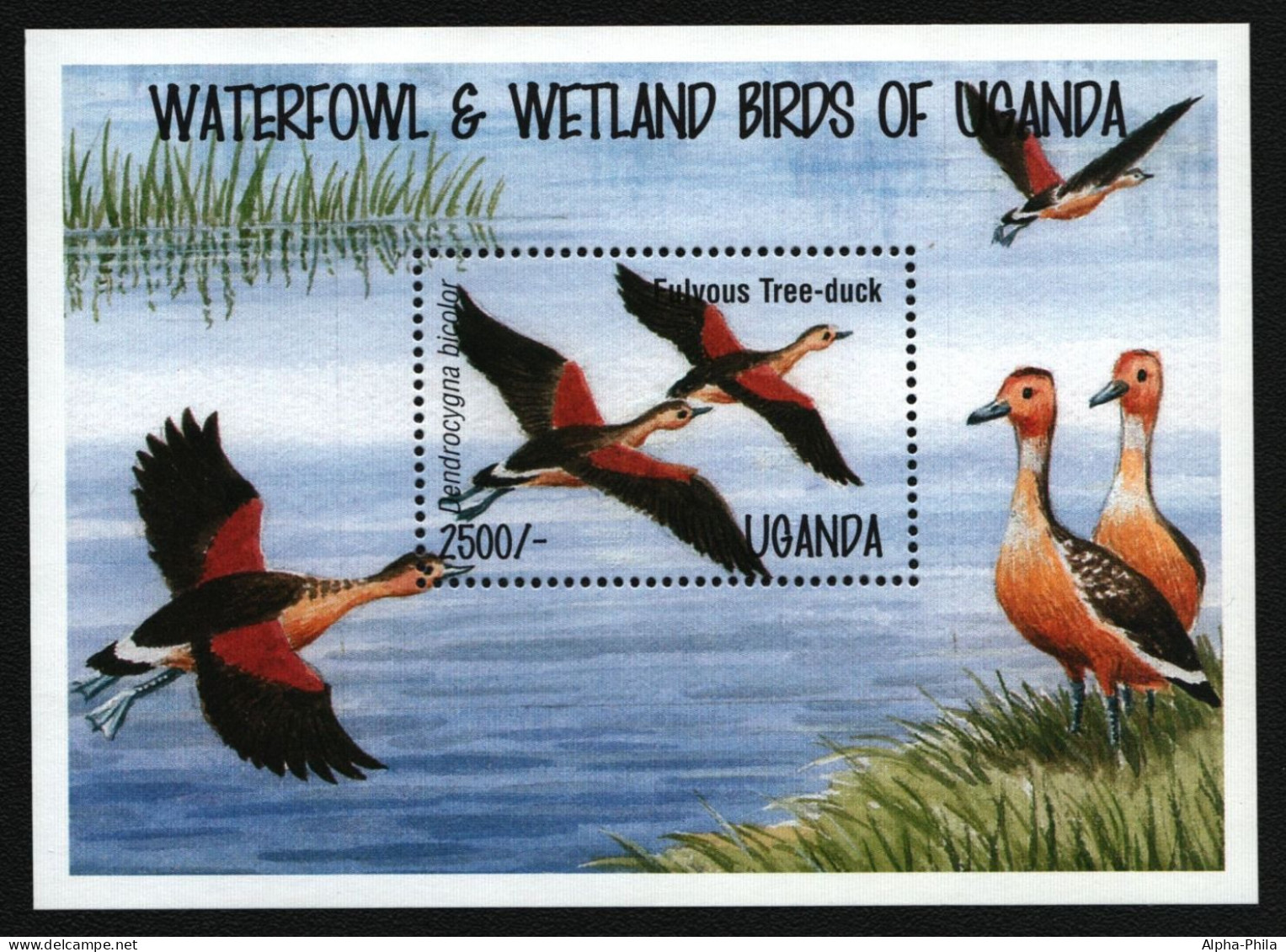 Uganda 1995 - Mi-Nr. Block 227 ** - MNH - Vögel / Birds - Oeganda (1962-...)