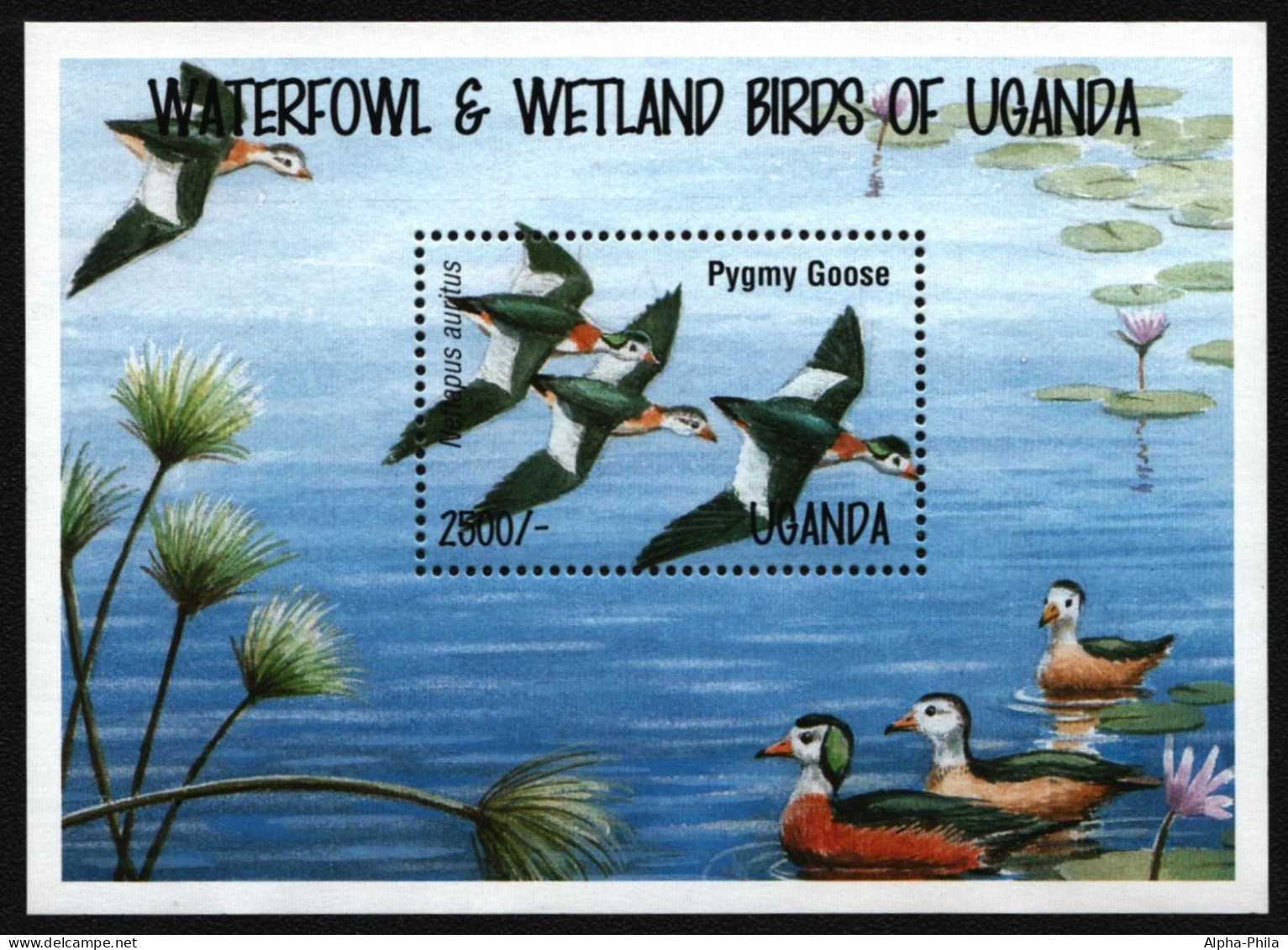 Uganda 1995 - Mi-Nr. Block 228 ** - MNH - Vögel / Birds - Uganda (1962-...)