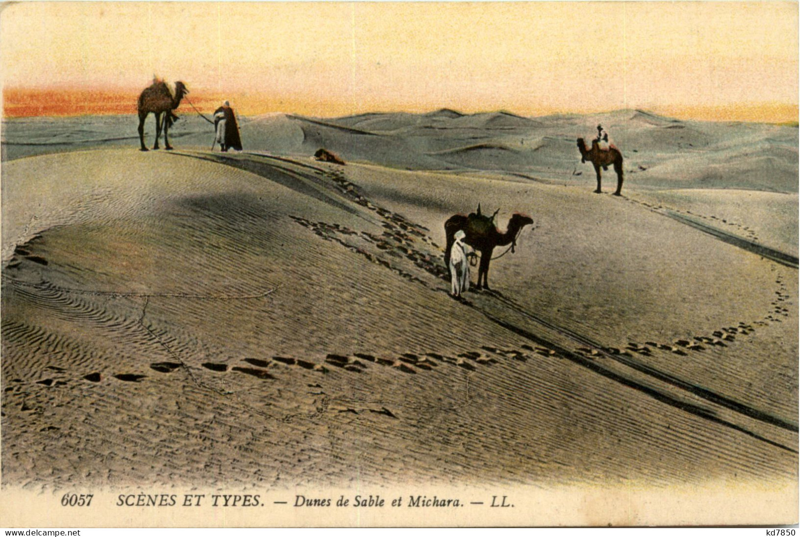 Algerie - Scenes Et Types - Scènes & Types