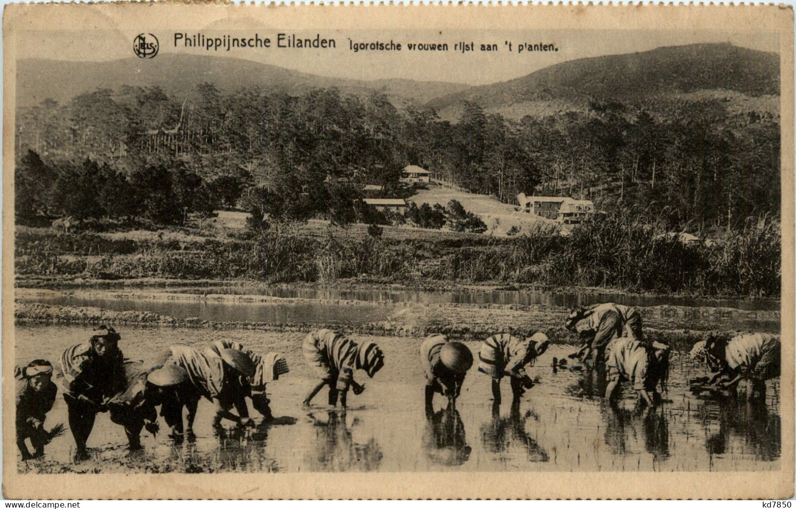 Philippines - Igorotsche Vrouwen - Filippine