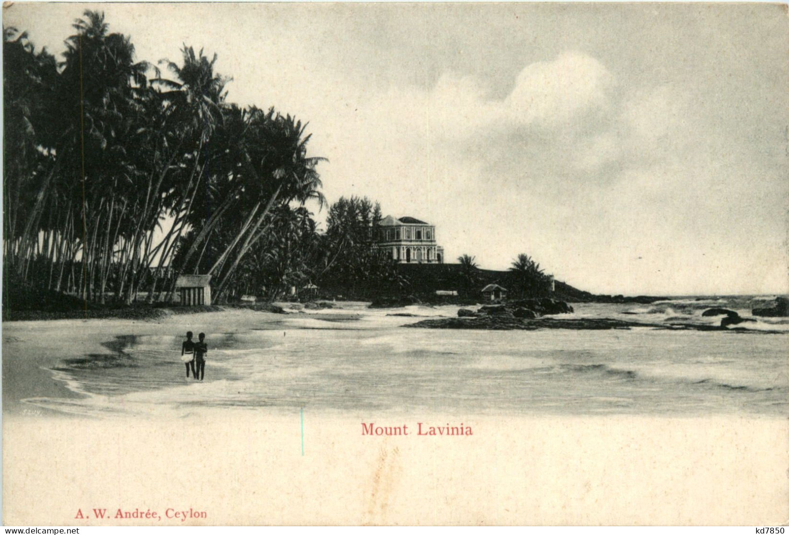 Ceylon - Mount LaviniaZebu - Sri Lanka (Ceilán)