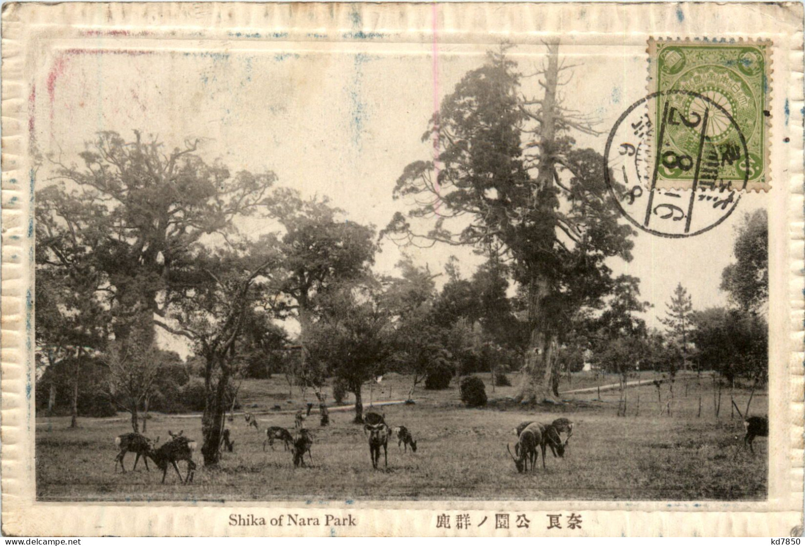Shika Of Nara Park - Andere & Zonder Classificatie