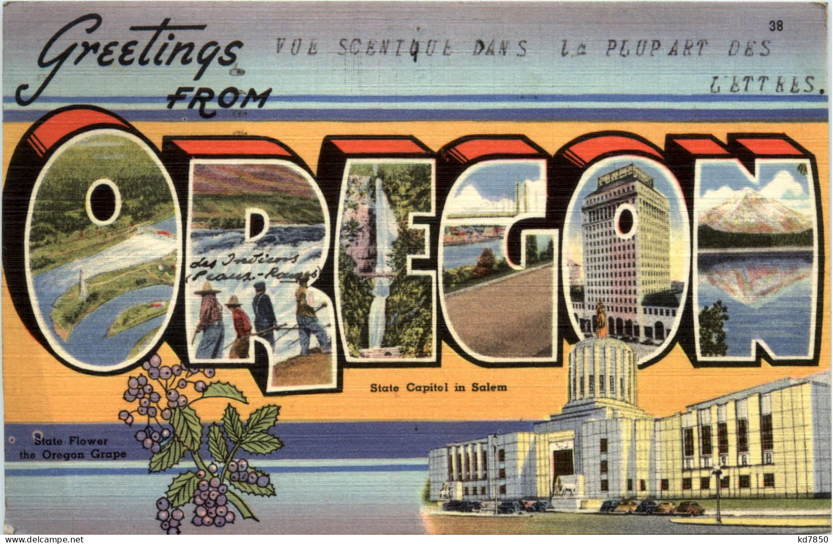 Greetings From Oregon - Andere & Zonder Classificatie